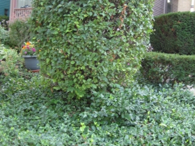Rev. Jeske's Lower East Side Home