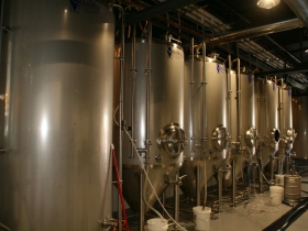 Fermentation