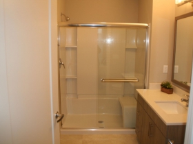 Shower and Bathroom