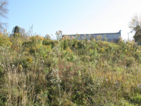 Elevation 1659 Construction