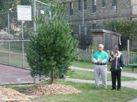 Huse and Brown Bless Tree