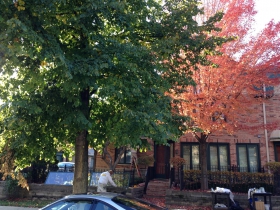 1415 N. Humboldt Ave.