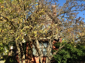 1815 N. Oakland Ave.