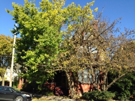 1815 N. Oakland Ave.