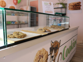 Cool Cat Cookies