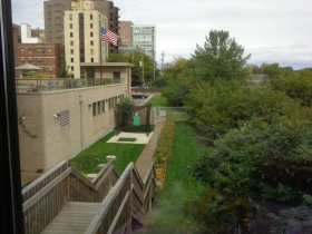 Looking out from Taylor's.
