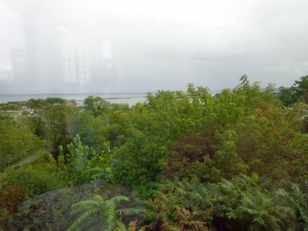 A view of the lake.