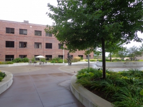 Courtyard between the buildings.