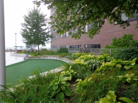 Practice your putting.