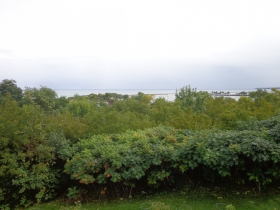A view of the lake.