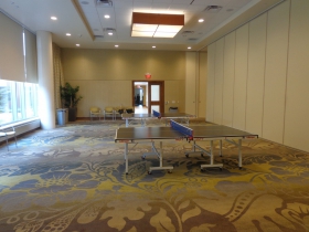 Ping pong anyone?
