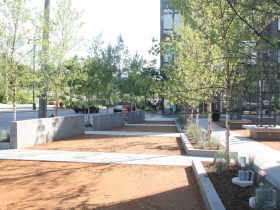 Denim Park.
