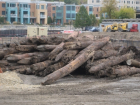 Old pilings.