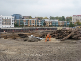Piles of pilings.