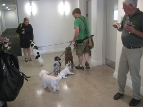 Inside Sage on Prospect