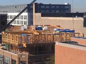 Prospect Mall Rising