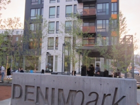 Portrait and Denim Park