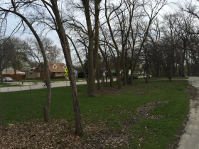 Lyons Park