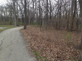 Lyons Park