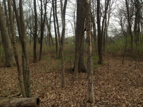 Lyons Park