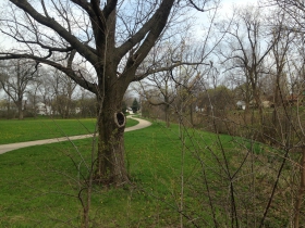 Lyons Park