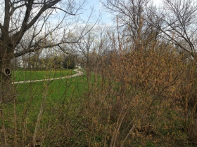 Lyons Park