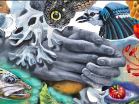 Nova Czarnecki Mural