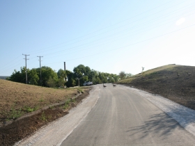 Why did the geese cross the road?