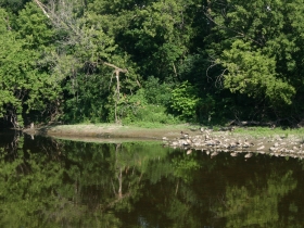 Heading for the river.