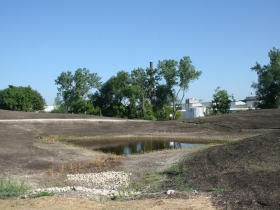 A pond.