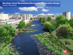 Burnham Canal Wetland Conversion