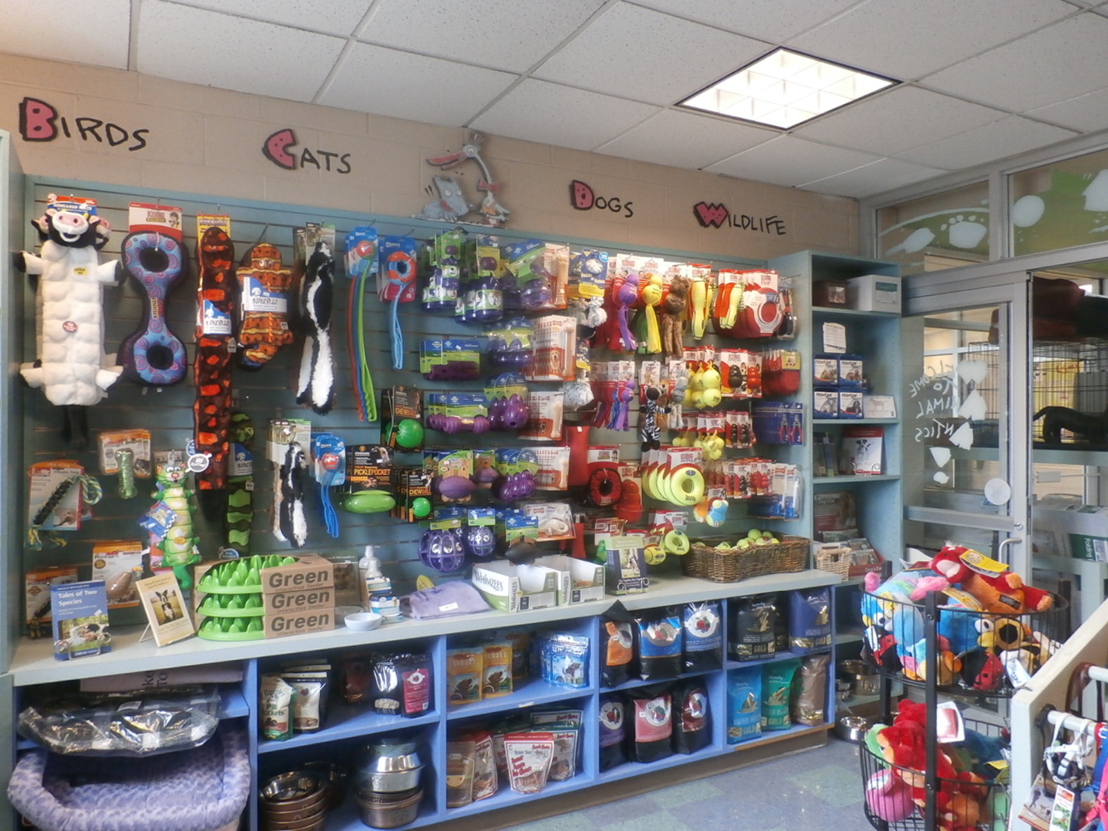 City Business: Animal Antics
