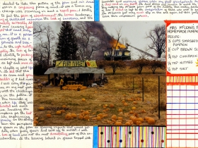 Nigel Poor and Frankie Smith, Mapping Joel Sternfeld, side B, 2011/12. Inkjet print and ink. -joel-sternfeld-side-b-1