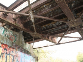 Oak Leaf Trail Zip Line Bridge