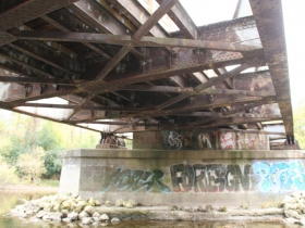 Oak Leaf Trail Zip Line Bridge