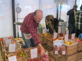All sorts of apples.