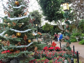 2016 Domes Holiday Display in Show Dome