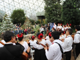 The Latino Arts Strings Program performing at the Domes Grand Reopening, December 1, 2016