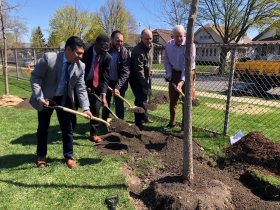 Tree Planting