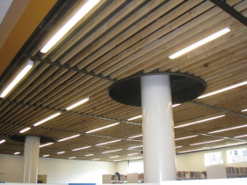 New Ceiling, Old Ceiling