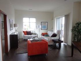 Living room in a one-bedroom apartment.