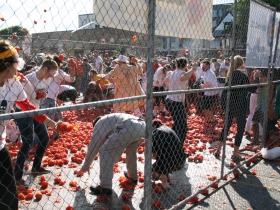 Tomatoes