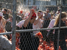 Exploding Tomatoes