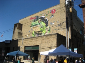 MTO's frog
