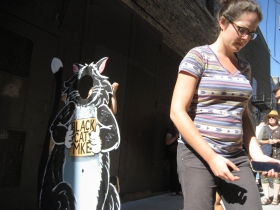 Black Cat MKE