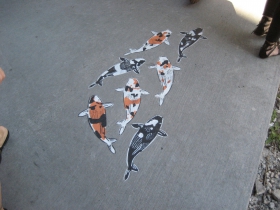 Koi by Jeremy Novy