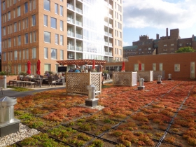 A tray based green roof.