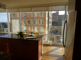 Looking out the kitchen window.