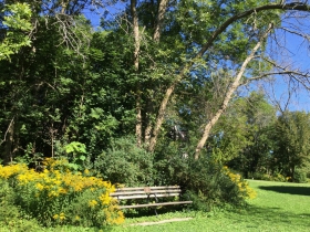Bench in Lake Park