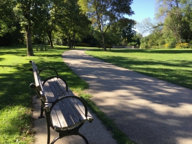 Bench in Lake Park